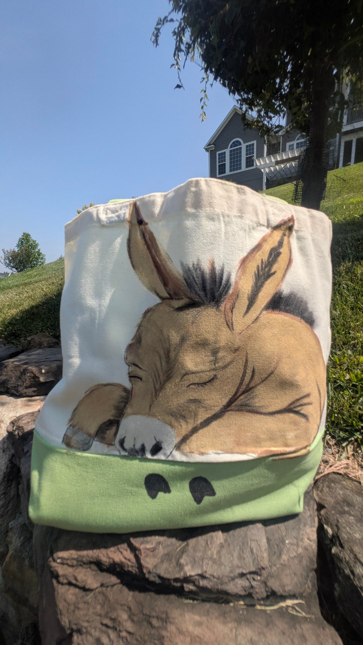 Hand Painted Donkey Tote Bag | Cute Farm Animal Canvas Bag | Unique Gift for Donkey Lovers