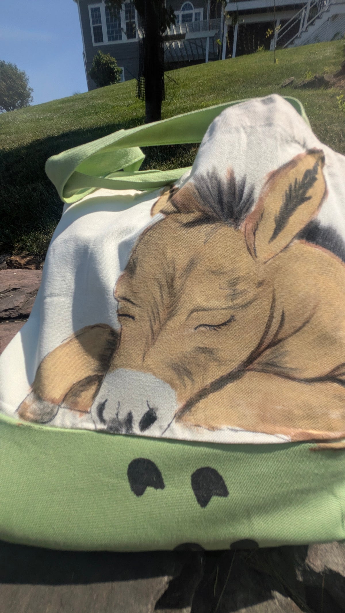 Hand Painted Donkey Tote Bag | Cute Farm Animal Canvas Bag | Unique Gift for Donkey Lovers